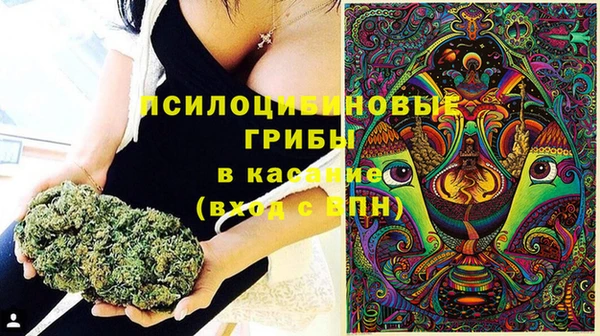 стафф Ступино