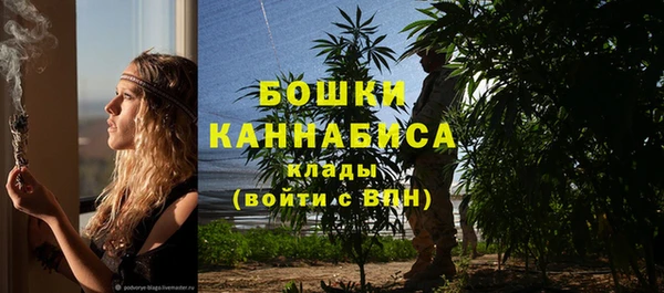 стафф Ступино