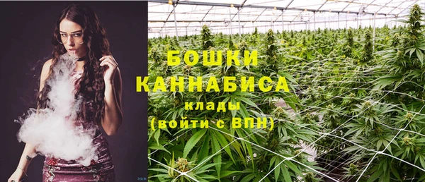 стафф Ступино