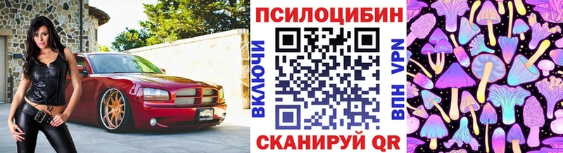 Галлюциногенные грибы Magic Shrooms  Великий Новгород 