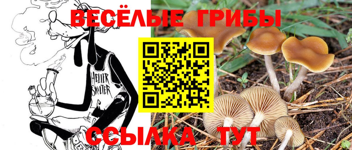 Великий Новгород  Галлюциногенные грибы GOLDEN TEACHER  Вход с VPN  Псилоцибиновые грибы мухоморы 