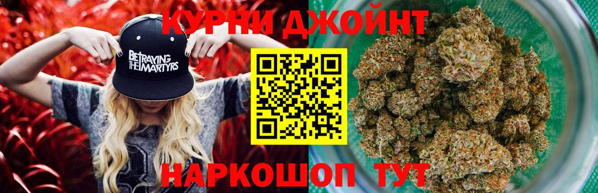 Конопля план Великий Новгород